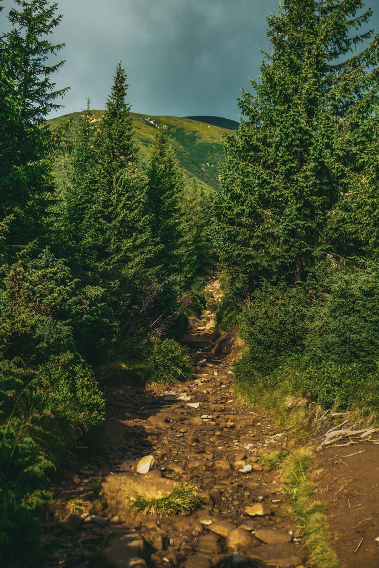 Aktywny weekend w Beskidach – rowery, szlaki i adrenalina